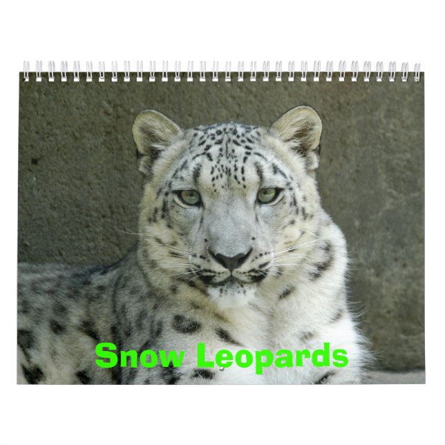 Snow Leopards Calendar, Snow Leopards Calendar (Cover)