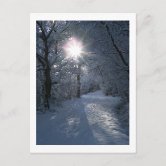Snow & Light Postcard