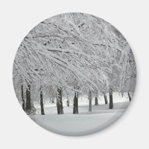 snow magnet