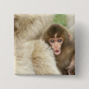 Snow Monkey Baby, Jigokudani, Nagano, Japan 15 Cm Square Badge