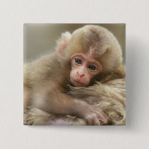 Snow Monkey Baby, Jigokudani, Nagano, Japan 2 15 Cm Square Badge
