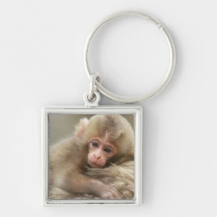 Snow Monkey Baby, Jigokudani, Nagano, Japan 2 Key Ring