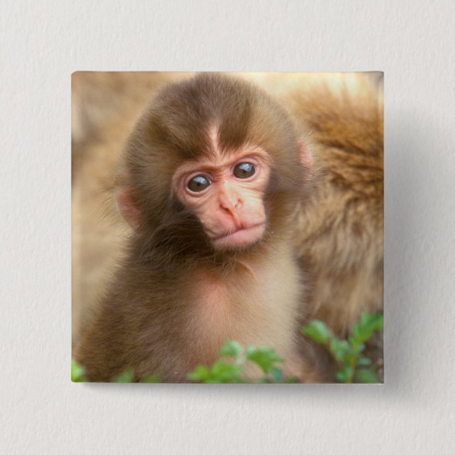 Snow Monkey Baby Portrait 15 Cm Square Badge (Front)