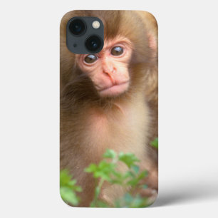 Snow Monkey Baby Portrait iPhone 13 Case