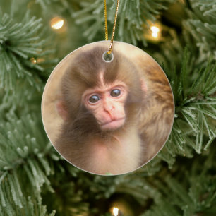 Snow Monkey Baby Portrait Ceramic Tree Decoration