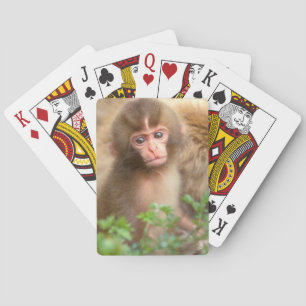 Snow Monkey Baby Portrait Playing Cards