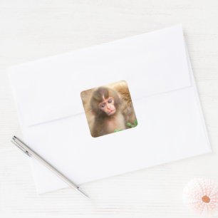 Snow Monkey Baby Portrait Square Sticker