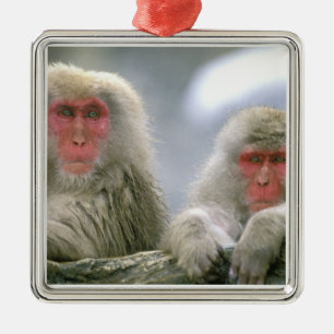 Snow Monkey Couple, Japanese Macaque, Metal Tree Decoration