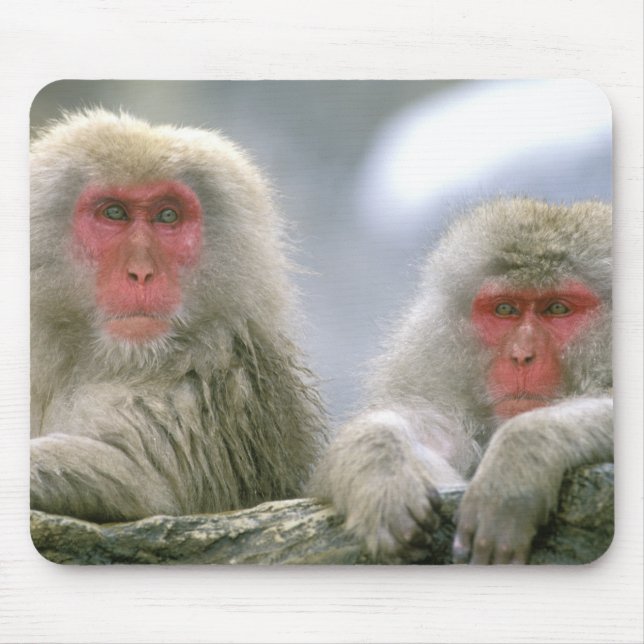 Snow Monkey Couple, Japanese Macaque, Mouse Pad (Front)