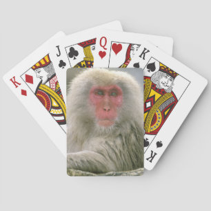 Snow Monkey Couple, Japanese Macaque, Playing Cards