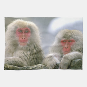 Snow Monkey Couple, Japanese Macaque, Tea Towel