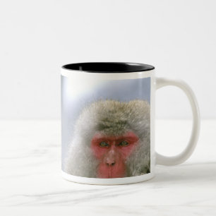 Snow Monkey Couple, Japanese Macaque, Two-Tone Coffee Mug