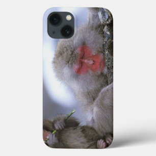 Snow Monkey Mother & Child, Jigokudani, Nagano, iPhone 13 Case