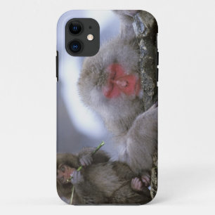 Snow Monkey Mother & Child, Jigokudani, Nagano, Case-Mate iPhone Case