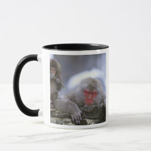 Snow Monkey Mother & Child, Jigokudani, Nagano, Mug