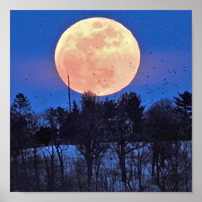 Snow Moon 2017 Poster (Front)