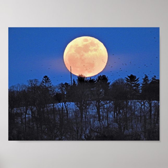 Snow Moon Rising Poster (Front)