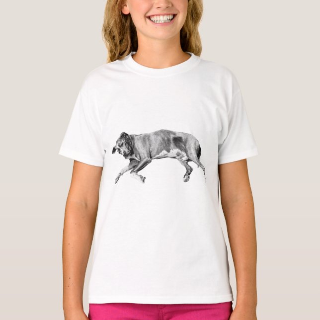 Snow-Night Slumber, Gentle Hound T-Shirt (Front)