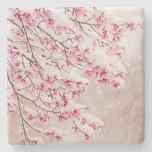 Snow on Cherry Blossoms 4" x 4" Limestone Coaster