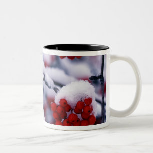 Snow on European Mountain Ash Berries, Utah. Two-Tone Coffee Mug