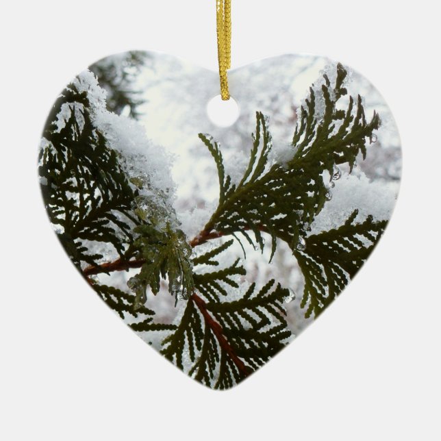 Snow on Evergreen Branches Ceramic Tree Decoration (Front)