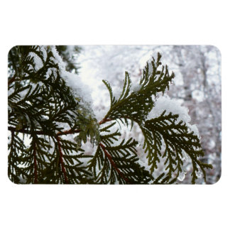 Snow on Evergreen Branches Magnet
