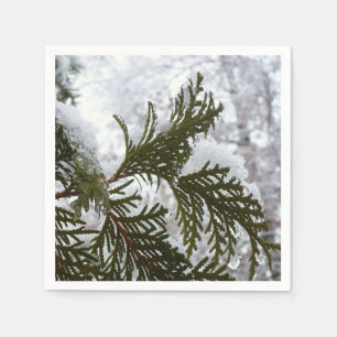 Snow on Evergreen Branches Napkin