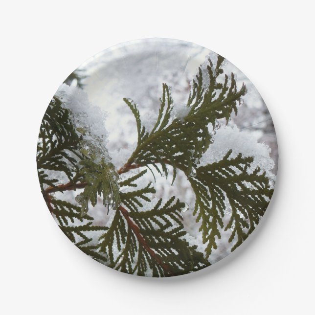Snow on Evergreen Branches Paper Plate (Front)