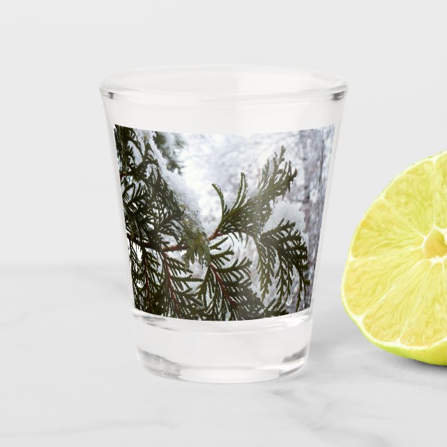 Snow on Evergreen Branches Shot Glass (Front)