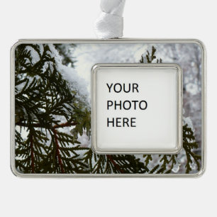 Snow on Evergreen Branches Silver Plated Framed Ornament