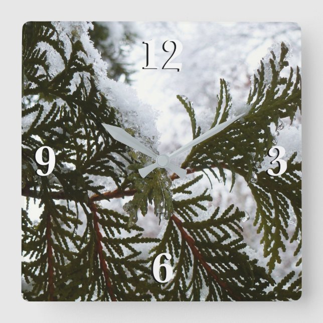 Snow on Evergreen Branches Square Wall Clock (Front)
