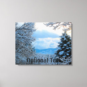 Snow on Pine Trees in Colorado Rocky Mountains Canvas Print