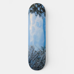 Snow on Pine Trees in Colorado Rocky Mountains Skateboard