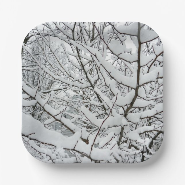 SNOW ON THE BRANCHES  PAPER PLATE (Front)