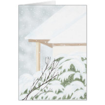 Snow On The Juniper Bush