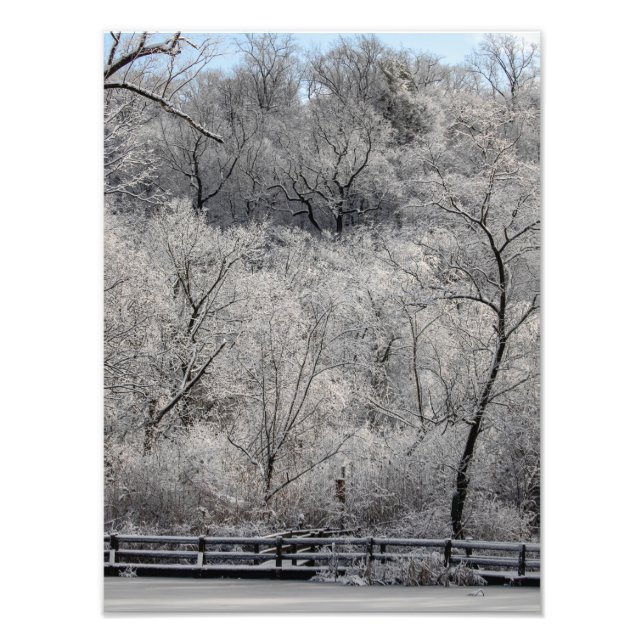 Snow On The Pond Photo Print (Front)
