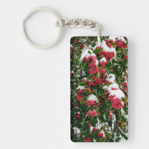 Snow , on the red berries key ring