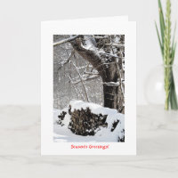 Snow on the Wood pile