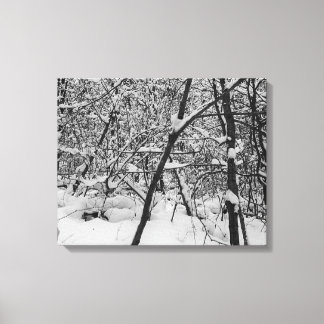 Snow on trees black and white photo on canvas print