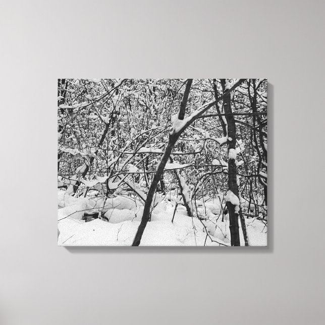 Snow on trees black and white photo on canvas print (Front)