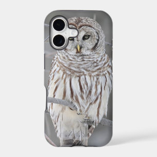 Snow Owl
