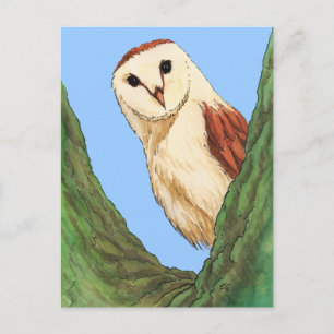 snow owl animal postcard