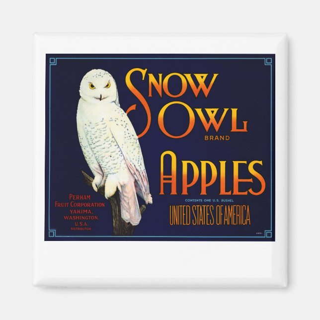 Snow Owl Apples Magnet (Front)