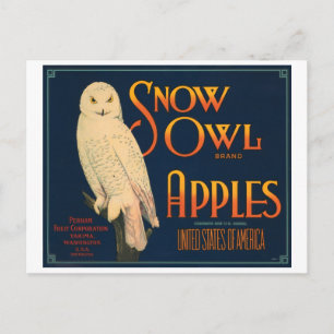 Snow Owl Brand Apples Vintage Crate Label Postcard