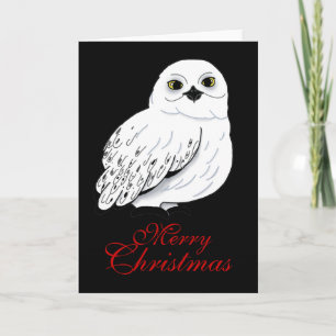 Snow owl Christmas Card