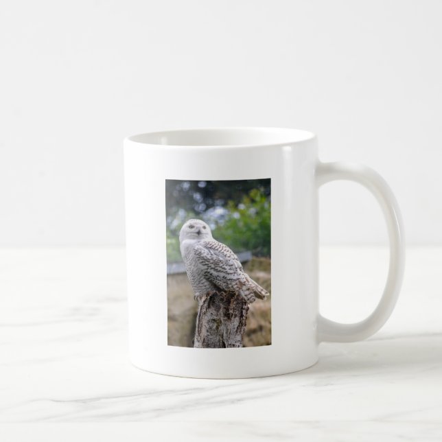 Snow owl coffee mug (Right)