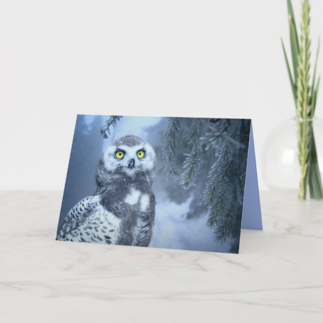 snow owl greeting card (Front)
