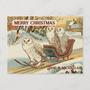 Snow Owl Merry Christmas Name  Postcard
