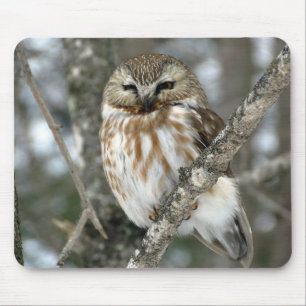 Snow Owl Mouse Pad