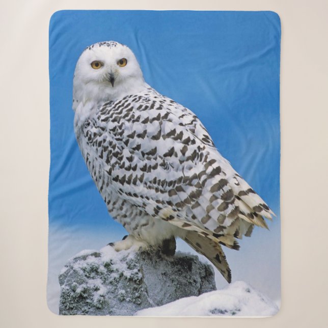 Snow Owl Sherpa Blanket (Front)